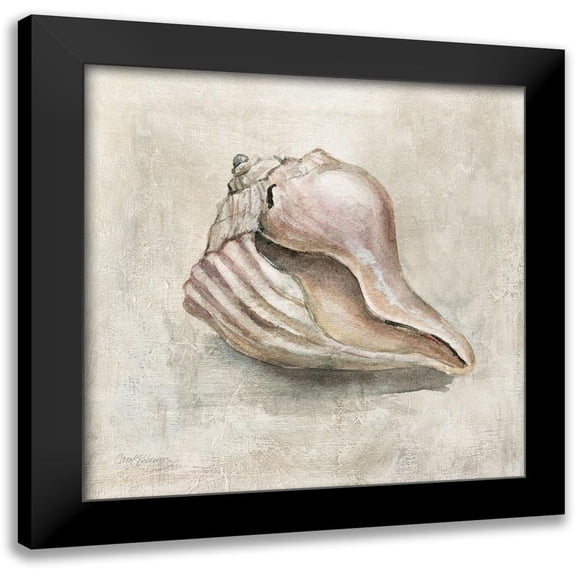 Robinson, Carol 15x15 Black Modern Framed Museum Art Print Titled - Seashell Textures III