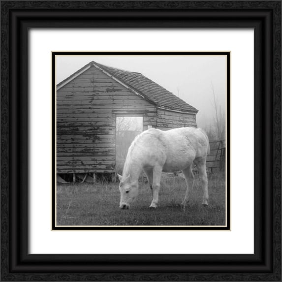 Robinson, Carol 15x15 Black Ornate Wood Framed with Double Matting Museum Art Print Titled - Misty Pasture
