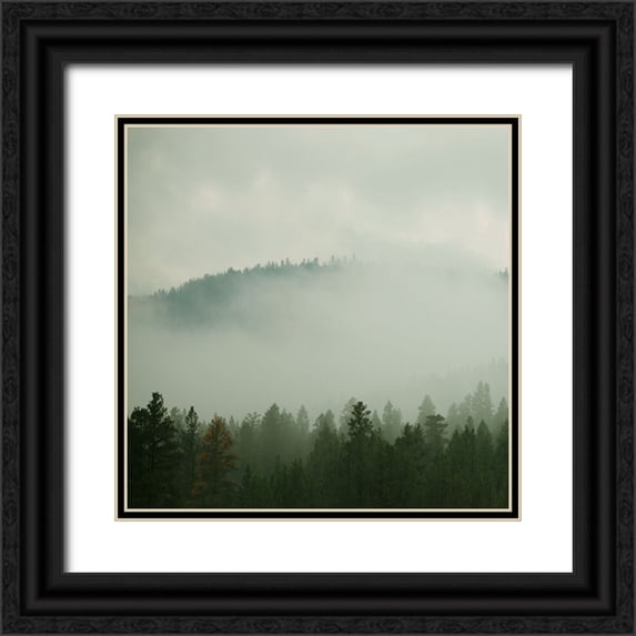 Robinson, Carol 15x15 Black Ornate Wood Framed with Double Matting Museum Art Print Titled - Verdant Country I
