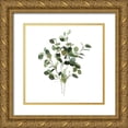 thumbnail image 1 of Robinson, Carol 15x15 Gold Ornate Wood Framed with Double Matting Museum Art Print Titled - Bunchy Botanical I, 1 of 4
