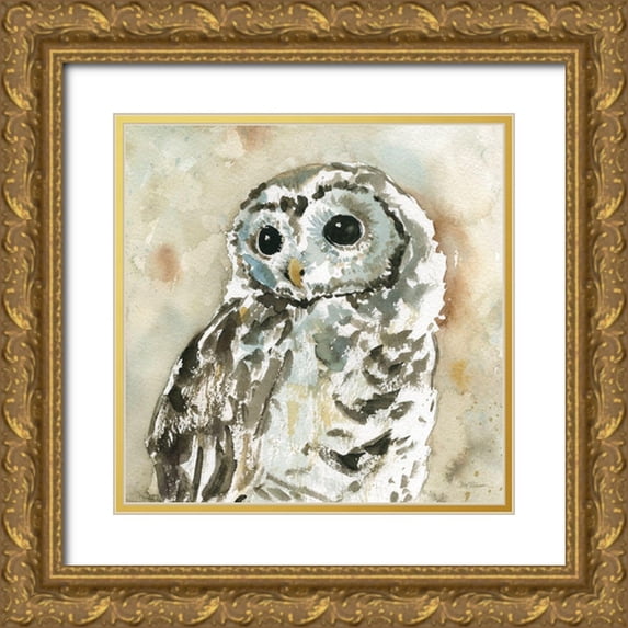 Robinson, Carol 15x15 Gold Ornate Wood Framed with Double Matting Museum Art Print Titled - Woodland Owl