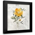 thumbnail image 1 of Robinson, Carol 15x18 Black Modern Framed Museum Art Print Titled - Canary Linen Peony, 1 of 5