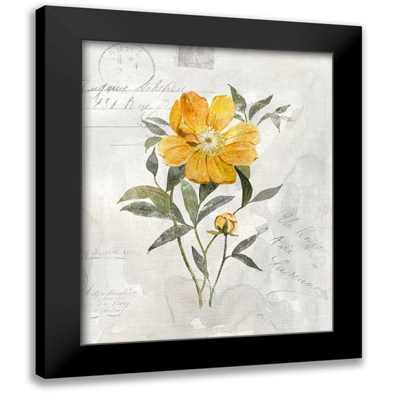 Robinson, Carol 15x18 Black Modern Framed Museum Art Print Titled - Canary Linen Peony