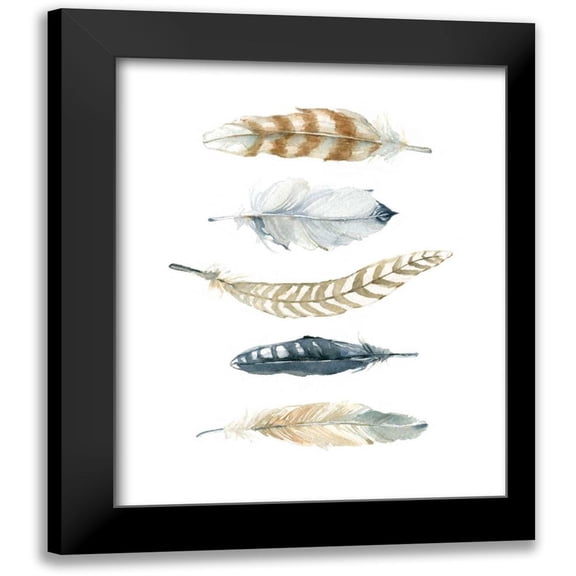 Robinson, Carol 15x18 Black Modern Framed Museum Art Print Titled - Feather Collection