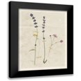 thumbnail image 1 of Robinson, Carol 15x18 Black Modern Framed Museum Art Print Titled - Pressed Lavender, 1 of 5