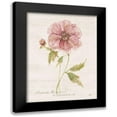 thumbnail image 1 of Robinson, Carol 15x18 Black Modern Framed Museum Art Print Titled - Soft Peony, 1 of 5