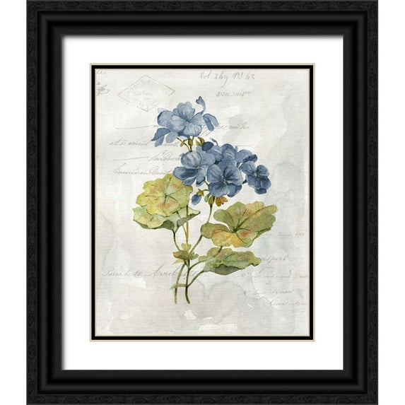 Robinson, Carol 15x18 Black Ornate Wood Framed with Double Matting Museum Art Print Titled - Blue Linen Geranium