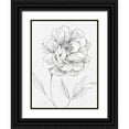 thumbnail image 1 of Robinson, Carol 15x18 Black Ornate Wood Framed with Double Matting Museum Art Print Titled - Peony Sketch, 1 of 4
