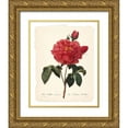 thumbnail image 1 of Robinson, Carol 15x18 Gold Ornate Wood Framed with Double Matting Museum Art Print Titled - Red Botanical III, 1 of 4