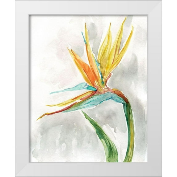 Robinson, Carol 15x18 White Modern Wood Framed Museum Art Print Titled - Bird of Paradise II
