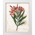 thumbnail image 1 of Robinson, Carol 15x18 White Modern Wood Framed Museum Art Print Titled - Laurier Rose, 1 of 4