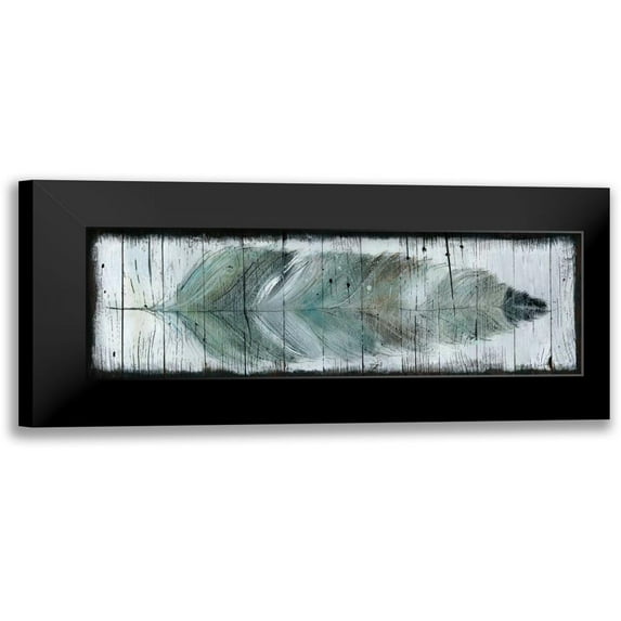 Robinson, Carol 18x9 Black Modern Framed Museum Art Print Titled - Stained Feather