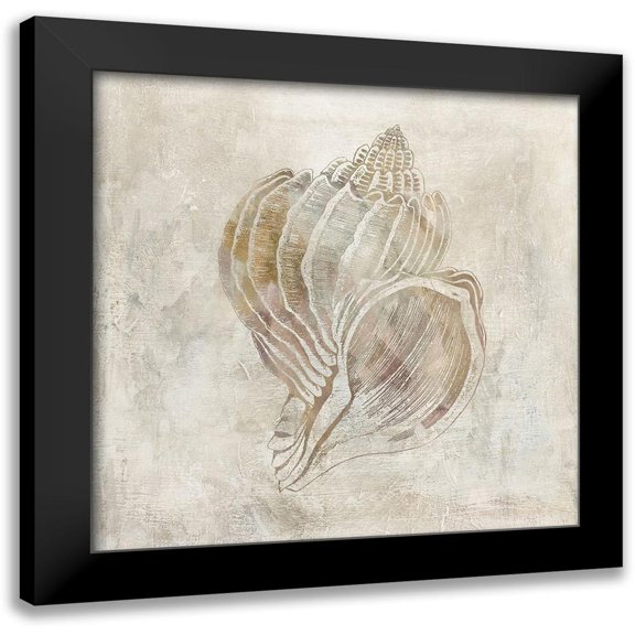 Robinson, Carol 20x20 Black Modern Framed Museum Art Print Titled - Seashell Illusion III
