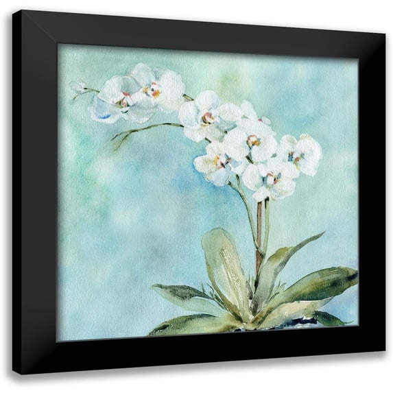 Robinson, Carol 20x20 Black Modern Framed Museum Art Print Titled - Sunlit Orchid