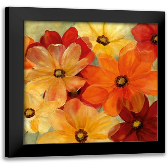 Robinson, Carol 20x20 Black Modern Framed Museum Art Print Titled - Sunshine Splash