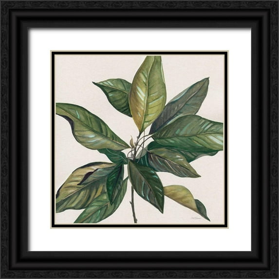 Robinson, Carol 20x20 Black Ornate Wood Framed with Double Matting Museum Art Print Titled - Magnolia Leaves I