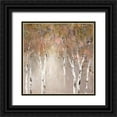 thumbnail image 1 of Robinson, Carol 20x20 Black Ornate Wood Framed with Double Matting Museum Art Print Titled - Sunlit Birch I, 1 of 4