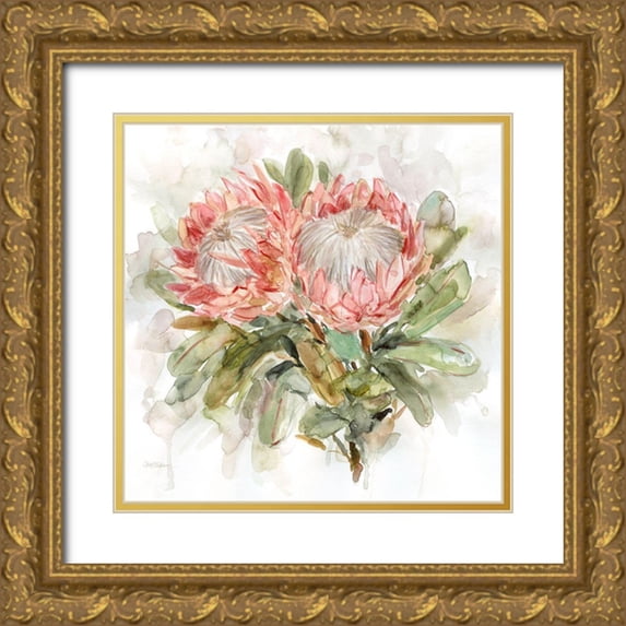 Robinson, Carol 20x20 Gold Ornate Wood Framed with Double Matting Museum Art Print Titled - Pale Protea I