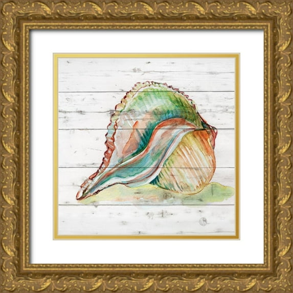 Robinson, Carol 20x20 Gold Ornate Wood Framed with Double Matting Museum Art Print Titled - Tye Dyed Shell II