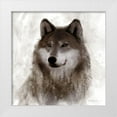 thumbnail image 1 of Robinson, Carol 20x20 White Modern Wood Framed Museum Art Print Titled - Forest Wolf, 1 of 4
