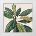 thumbnail image 1 of Robinson, Carol 20x20 White Modern Wood Framed Museum Art Print Titled - Magnolia Leaves II, 1 of 4
