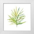 thumbnail image 1 of Robinson, Carol 20x20 White Modern Wood Framed Museum Art Print Titled - Tropical Botanical I, 1 of 4