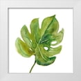 thumbnail image 1 of Robinson, Carol 20x20 White Modern Wood Framed Museum Art Print Titled - Tropical Frond I, 1 of 4
