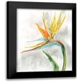 thumbnail image 1 of Robinson, Carol 20x24 Black Modern Framed Museum Art Print Titled - Bird of Paradise II, 1 of 5