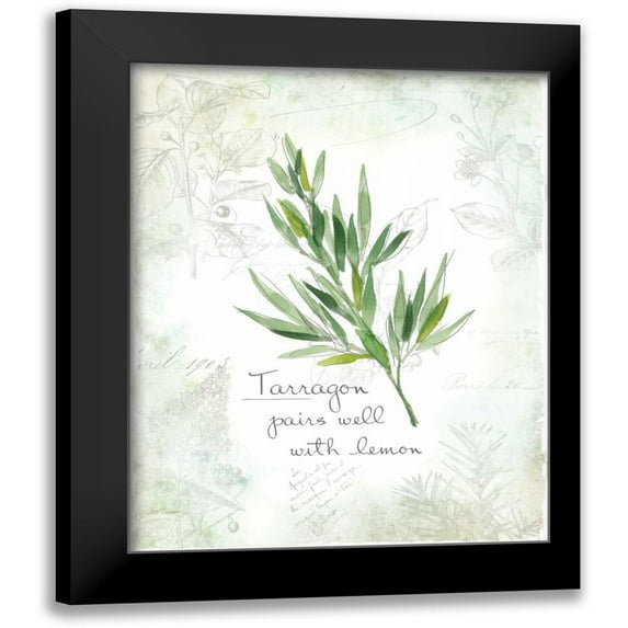 Robinson, Carol 20x24 Black Modern Framed Museum Art Print Titled - Fresh Tarragon