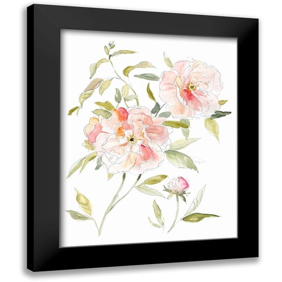 Robinson, Carol 20x24 Black Modern Framed Museum Art Print Titled - Sketchbook Cottage Rose II