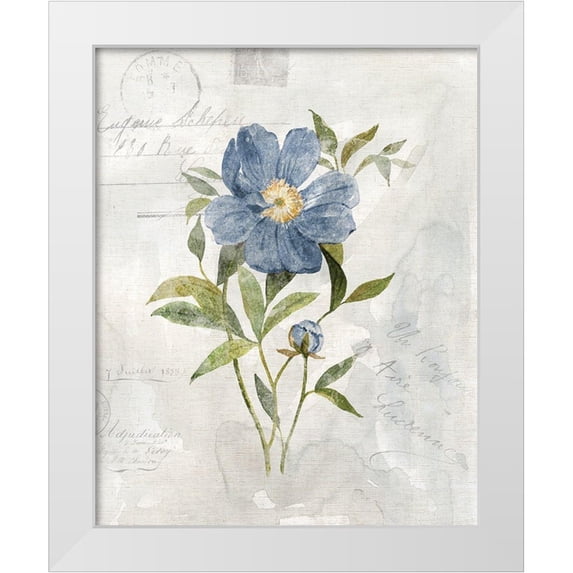 Robinson, Carol 20x24 White Modern Wood Framed Museum Art Print Titled - Blue Linen Peony