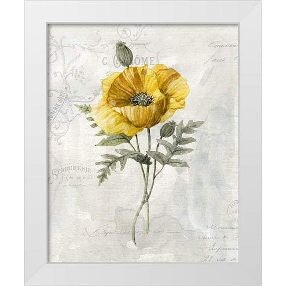 Robinson, Carol 20x24 White Modern Wood Framed Museum Art Print Titled - Canaray Linen Poppy