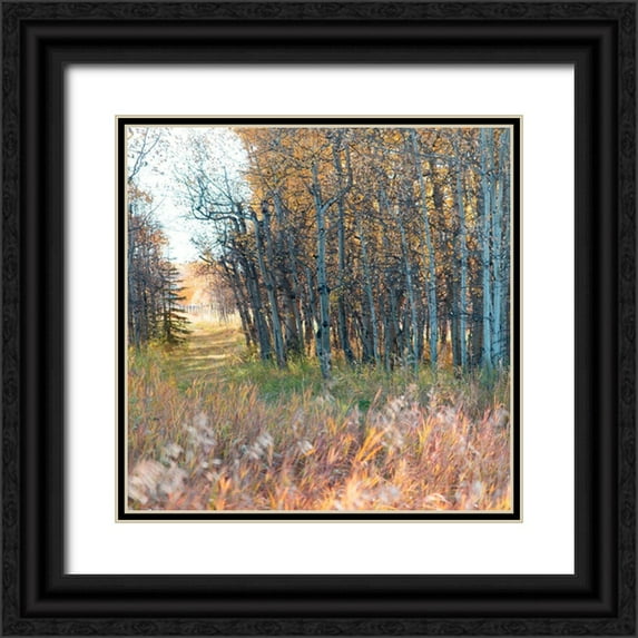 Robinson, Carol 26x26 Black Ornate Wood Framed with Double Matting Museum Art Print Titled - Sunlit Pathway