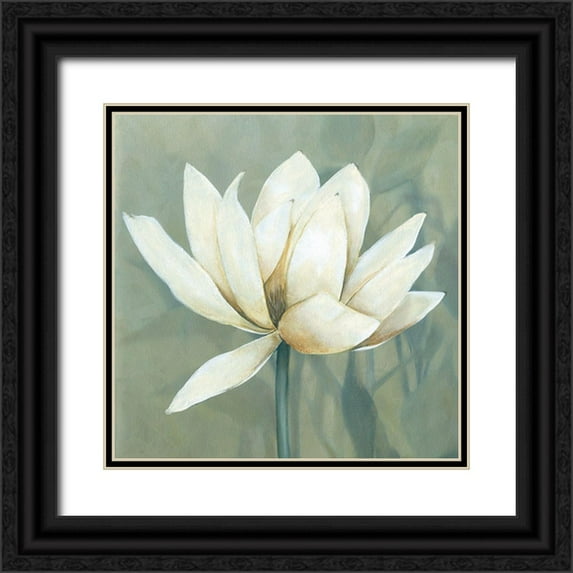 Robinson, Carol 26x26 Black Ornate Wood Framed with Double Matting Museum Art Print Titled - Waterlily I