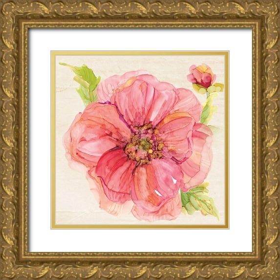 Robinson, Carol 26x26 Gold Ornate Wood Framed with Double Matting Museum Art Print Titled - Botanical Peony