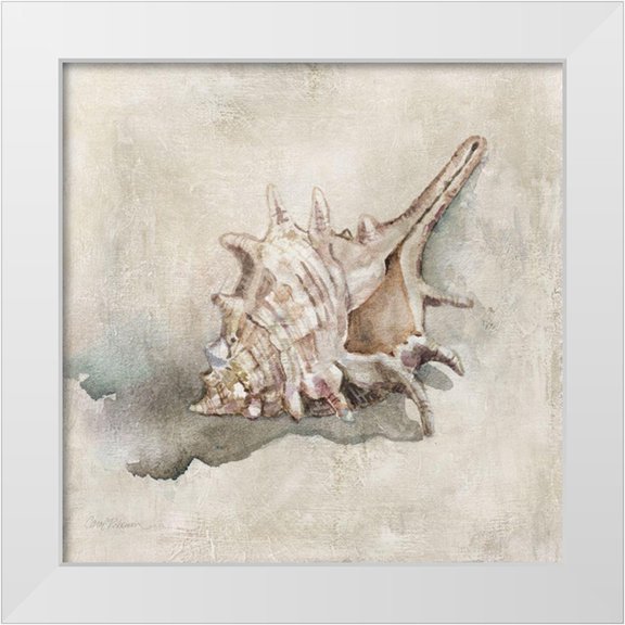 Robinson, Carol 26x26 White Modern Wood Framed Museum Art Print Titled - Seashell Textures I