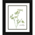 thumbnail image 1 of Robinson, Carol 26x32 Black Ornate Wood Framed with Double Matting Museum Art Print Titled - Fresh Sprig Parsley, 1 of 4