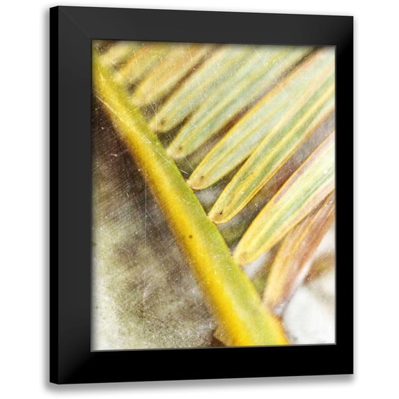 Robinson, Emily 15x18 Black Modern Framed Museum Art Print Titled - Frond Study II