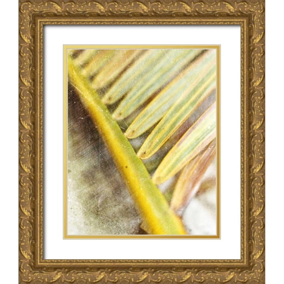 Robinson, Emily 15x18 Gold Ornate Wood Framed with Double Matting Museum Art Print Titled - Frond Study II