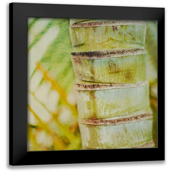 Robinson, Emily 20x20 Black Modern Framed Museum Art Print Titled - Tropical Texture II