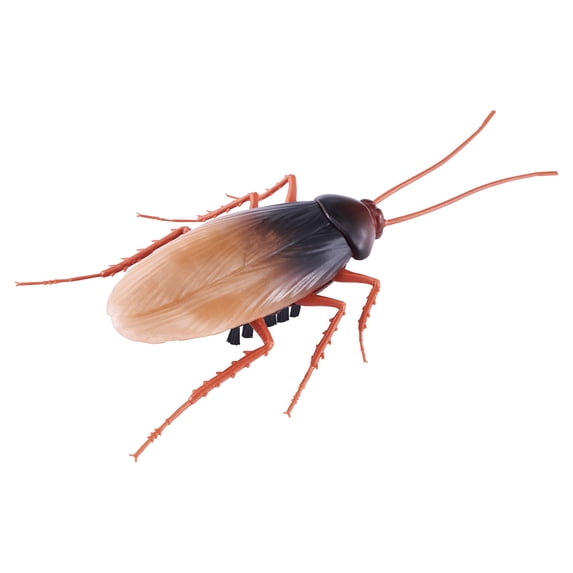 Robo-Alive-Electronic-Crawling-Cockroach-Battery-Powered-Robotic-Toy-by-ZURU-Electronic-Pet_3db89657-13ea-4e18-b34e-65783b221453.aa7316030a517010e4efabdfeae50dd9.jpeg?odnHeight=573&odnWidth=573&odnBg=FFFFFF