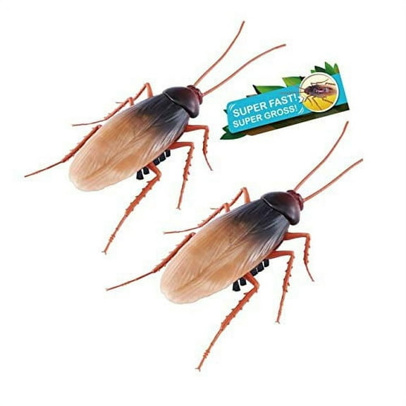 Robo Alive Scuttling Cockroach Battery-Powered Robotic Toy (2 Pack) (Custom Packaging) by ZURU