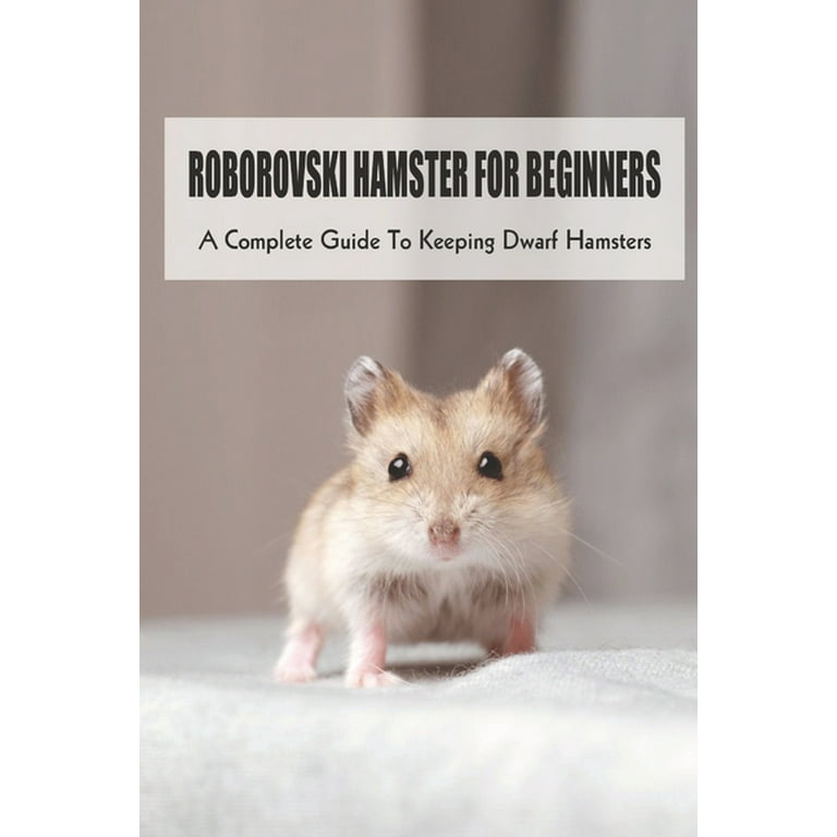 A Complete Guide to Roborovski Hamsters - PetHelpful