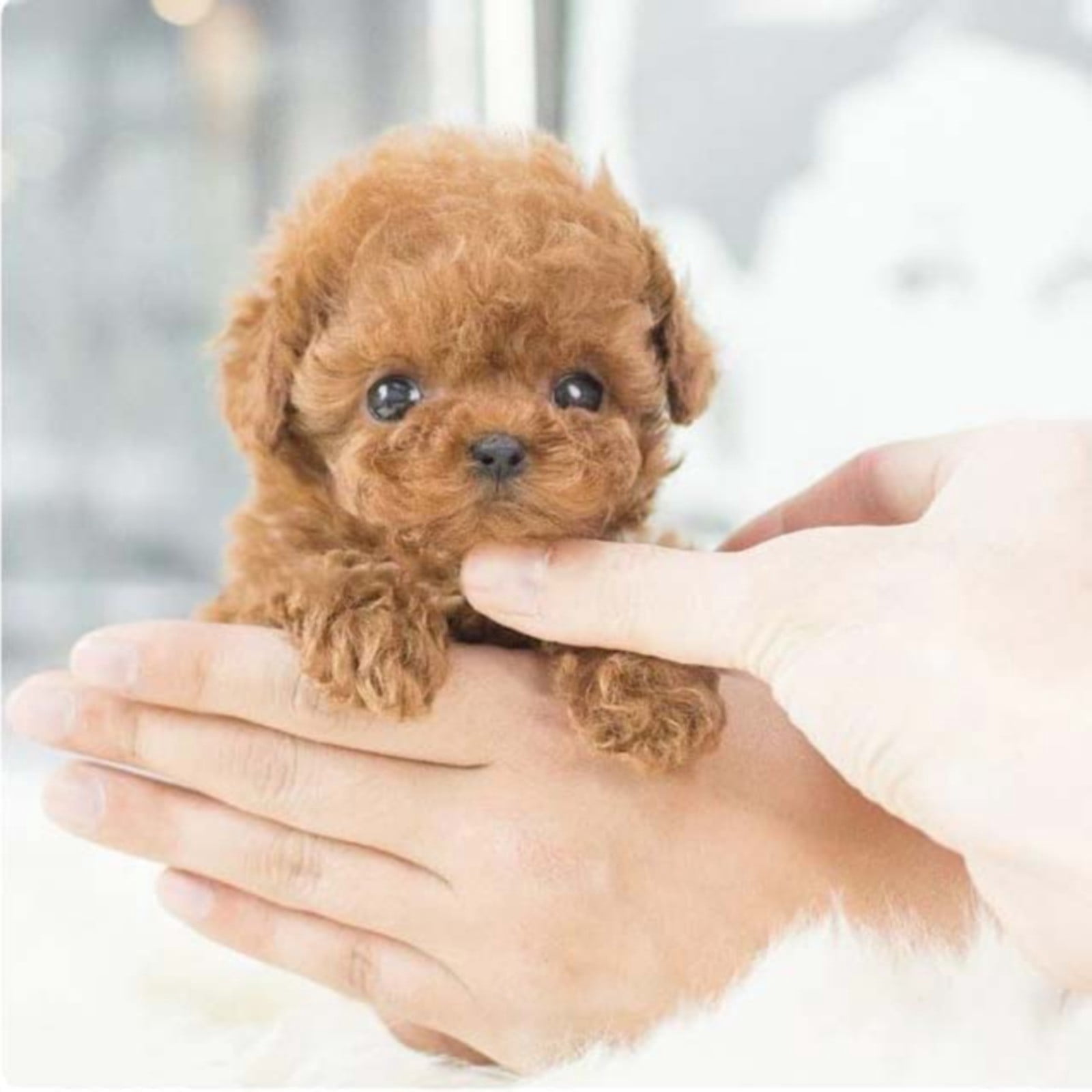 Interactive Walking Realistic Robot Puppy Plush Toy