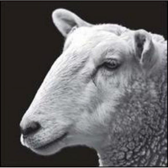 Robot Needs Oil - KRL - Remixes - Electronica - Vinyl