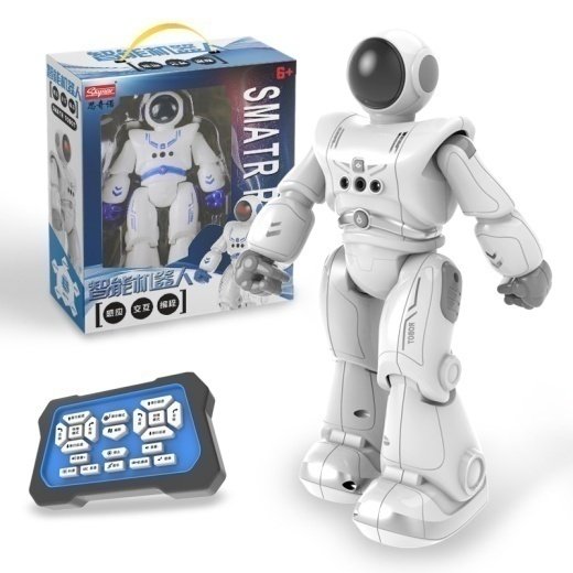 Robot Toy for Kids, Remote Control Toy with Programmble, Gesture