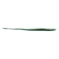 thumbnail image 1 of Roboworm Straight Tail Worm 6" Hologram Shad, 10/Pack, 1 of 3