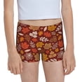 thumbnail image 1 of Rocae Autumn Warm Tone Maple Leaf for Girls' Cotton Boxer Briefs, Soft Mid-rise Panties-X-Large, 1 of 5
