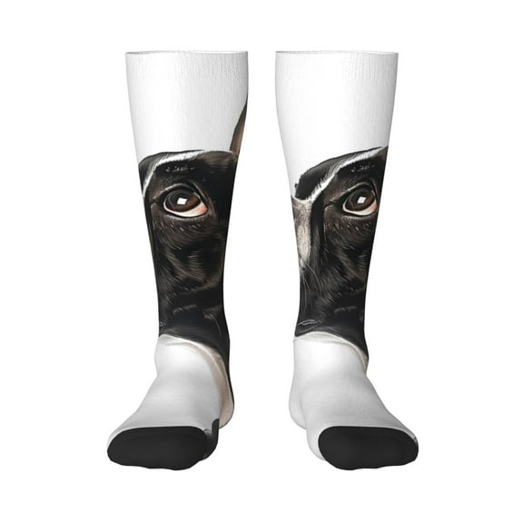 Rocae Black And White Boston Terrier for Novelty Casual compression Socks For Women Men Contrast Color Stockings