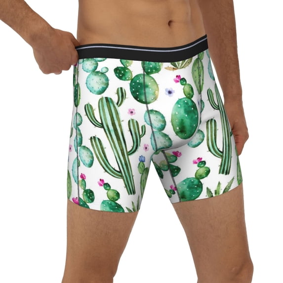 Rocae Cactus Plants1 for Stretch Moisture-Wicking Underwear,Men's Underwear Boxer Briefs X-Large